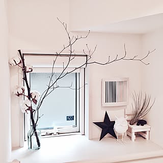 枯れ枝のインテリア実例 Roomclip ルームクリップ