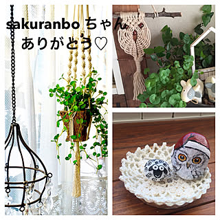 壁/天井/石のアート/フクロウさんのタペストリー/ハンキングロープ/sakuranboちゃんありがとう❤️...などのインテリア実例 - 2017-12-21 19:31:56
