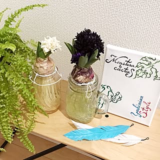 玄関/入り口/masu…名人のアート♡/スケボーベンチ/マステフェザー♡/モフモフシダさん♡...などのインテリア実例 - 2017-02-05 14:52:26