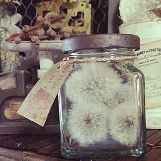 たんぽぽ綿毛の瓶詰めのインテリア実例 Roomclip ルームクリップ