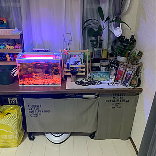 ドン キホーテ 収納のまとめページ Roomclip ルームクリップ