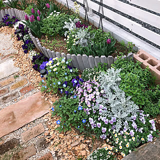 チューリップ ノースポールのインテリア実例 Roomclip ルームクリップ