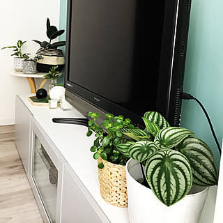 観葉植物 テレビ台の上のインテリア実例 Roomclip ルームクリップ