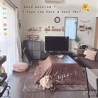 茶色だらけ 落ち着く色のインテリア実例 Roomclip ルームクリップ