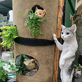 ベランダガーデニング お気に入りの植木屋さんのおしゃれなインテリアコーディネート レイアウトの実例 Roomclip ルームクリップ