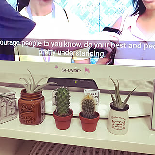 サボテン トルカのインテリア実例 Roomclip ルームクリップ サボテン トルカのインテリア実例 Roomclip ルームクリップ