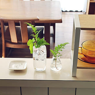 一輪挿し シダ植物のおしゃれなアレンジ 飾り方のインテリア実例 Roomclip ルームクリップ
