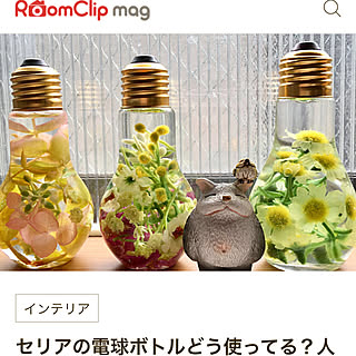 ベビーオイルでハーバリウムのインテリア実例 Roomclip ルームクリップ