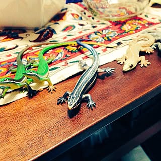 がちゃがちゃ/おきにいり♡のインテリア実例 - 2015-04-07 20:16:41