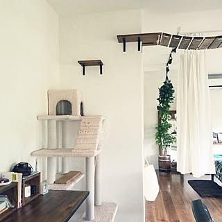 リビング/キャットウォーク/DIY/BRIWAX/フェイクグリーン/キャットタワー...などのインテリア実例 - 2016-07-27 18:10:48