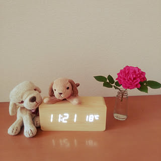 薔薇 一輪挿しのインテリア実例 Roomclip ルームクリップ 薔薇 一輪挿しのインテリア実例 Roomclip ルームクリップ