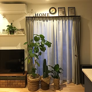 リビング/良いGWを!/観葉植物のある部屋/フォロワーさんに感謝感激雨霰!/いいね、コメントありがとう♡のインテリア実例 - 2017-05-02 18:40:43