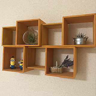 部屋全体/エアープランツ★/コメントお気遣いなく♡/イベント参加用/10分でできる...などのインテリア実例 - 2018-06-16 21:17:34