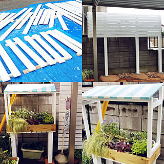 玄関/入り口/ガーデニング初心者/ガーデニング多肉植物/ガーデニングDIY/ガーデニング雑貨...などのインテリア実例 - 2018-10-30 08:59:44