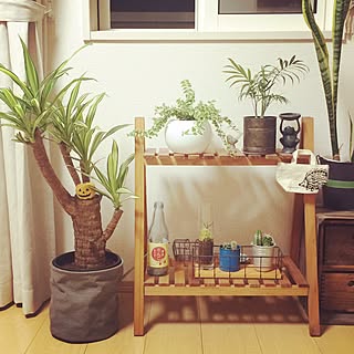 リビング/エアープランツ/フィカス/テーブルヤシ/ユッカ...などのインテリア実例 - 2015-11-20 23:05:55