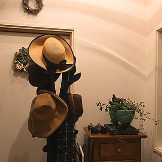 玄関/入り口/花のある暮らし/グリーンのある暮らし/猫との暮らし/壁まだ塗ってません...などのインテリア実例 - 2017-05-18 20:45:54