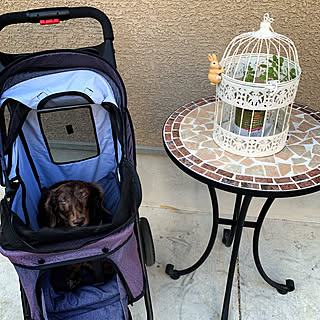 犬用カートのインテリア実例 Roomclip ルームクリップ