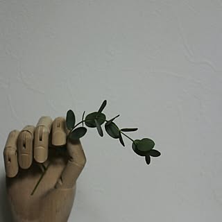 海外インテリアに憧れる/wood/オリーブじゃなくてユーカリでしたのインテリア実例 - 2014-03-17 20:36:56