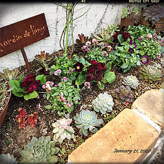 花壇 ジュリアンのインテリア実例 Roomclip ルームクリップ