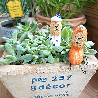 机/植物のある暮らし/雑貨大好き♡/フォロワー様に感謝です !/いいね!ありがとうございます♪...などのインテリア実例 - 2017-10-18 22:42:56