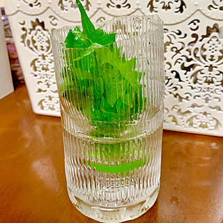 キッチン ペットボトルリメイクのインテリア実例 Roomclip ルームクリップ