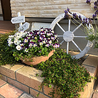 北側の庭のインテリア実例 Roomclip ルームクリップ