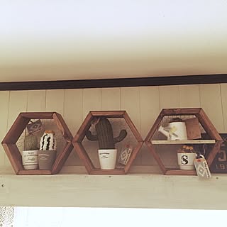 壁/天井/ヘキサゴンシェルフDIY/いつもいいねやコメありがとうございます♡/いいね!押し逃げばかりでごめんなさい。/雑貨...などのインテリア実例 - 2017-03-13 14:48:35