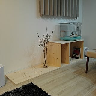 文鳥と暮らすのインテリア実例 Roomclip ルームクリップ 文鳥と暮らすのインテリア実例 Roomclip ルームクリップ