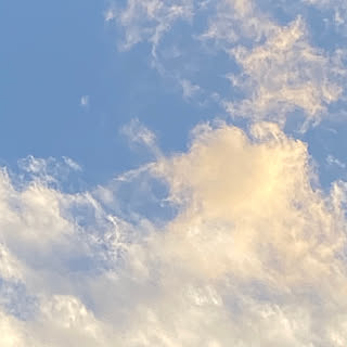 安静/安静中/晴れ/雨/雨上がりの空...などのインテリア実例 - 2019-12-02 19:15:01