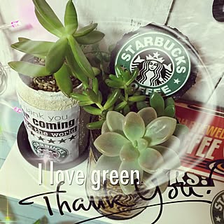 バス/トイレ/リメイクシート/スタバ/green forest/観葉植物大好き❤︎...などのインテリア実例 - 2016-06-20 12:49:28