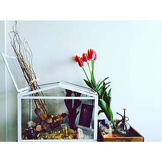 ドライフラワー 温室のインテリア実例 Roomclip ルームクリップ