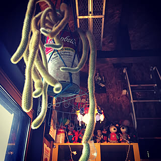 キッチン/空き缶/金紐サボテン/金紐/サボテン...などのインテリア実例 - 2018-06-12 05:56:10