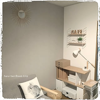 Diy 竹ひごのインテリア 手作りの実例 Roomclip ルームクリップ