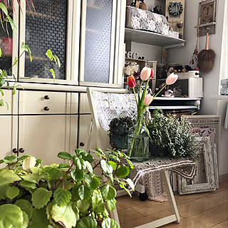 reeちゃんの編み編み♡/お花のある暮らし/みどりのある暮らし/〇〇のある暮らし/いつも 素敵✨なコメントありがとう❤️...などのインテリア実例 - 2020-01-21 11:31:13