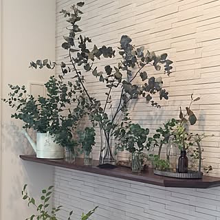 ユーカリの葉のインテリア実例 Roomclip ルームクリップ
