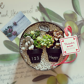 リビング 母の日のプレゼント のインテリア実例 Roomclip ルームクリップ