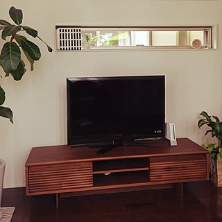 棚/北欧/観葉植物/植物のインテリア実例 - 2014-05-26 10:16:15