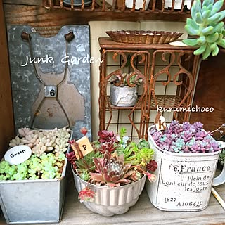 玄関/入り口/多肉植物/kokkoちゃん/ピック手作り/フィルムケースに多肉/JUNK GARDEN...などのインテリア実例 - 2016-06-21 08:47:40