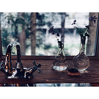 キッチン/鉱石/鉱物/フラスコ/カクダイ...などのインテリア実例 - 2018-04-07 21:53:42