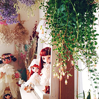観葉植物 カランコエ フィフィのおしゃれなアレンジ 飾り方のインテリア実例 Roomclip ルームクリップ 観葉植物 カランコエ フィフィのおしゃれなアレンジ 飾り方のインテリア実例 Roomclip ルームクリップ
