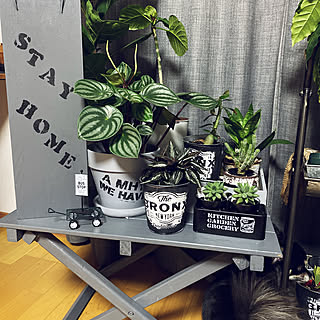 たまつづりのインテリア実例 Roomclip ルームクリップ