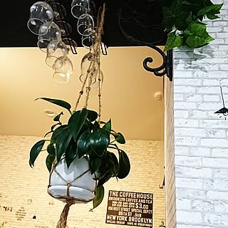 キッチン/せりあ♡/新築一戸建て/海の見える家/いいねと、フォローの押し逃げすみません!...などのインテリア実例 - 2017-07-07 23:11:55