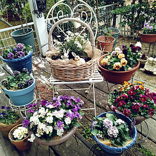 イベリスブライダルブーケのインテリア実例 Roomclip ルームクリップ