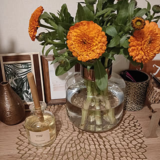 Zara Home アクタスのトイレマットのまとめページ Roomclip ルームクリップ
