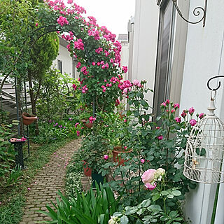 玄関 入り口 狭い庭のインテリア実例 Roomclip ルームクリップ
