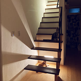 間接照明 足元灯のインテリア実例 Roomclip ルームクリップ