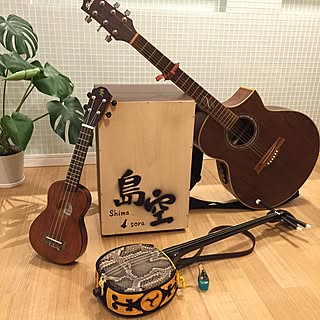 壁/天井/楽器/アコースティックギター/エレアコ/沖縄三線/三線...などのインテリア実例 - 2015-10-30 18:39:09