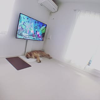 壁寄せテレビ台のインテリア実例 Roomclip ルームクリップ 壁寄せテレビ台のインテリア実例 Roomclip ルームクリップ