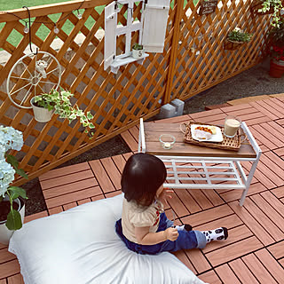 紫陽花 レオンのインテリア実例 Roomclip ルームクリップ 紫陽花 レオンのインテリア実例 Roomclip ルームクリップ