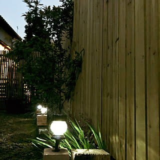 カインズホーム 花壇完成のまとめページ Roomclip ルームクリップ